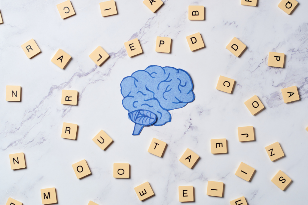 letters and the brain noting how the brain learns to read
